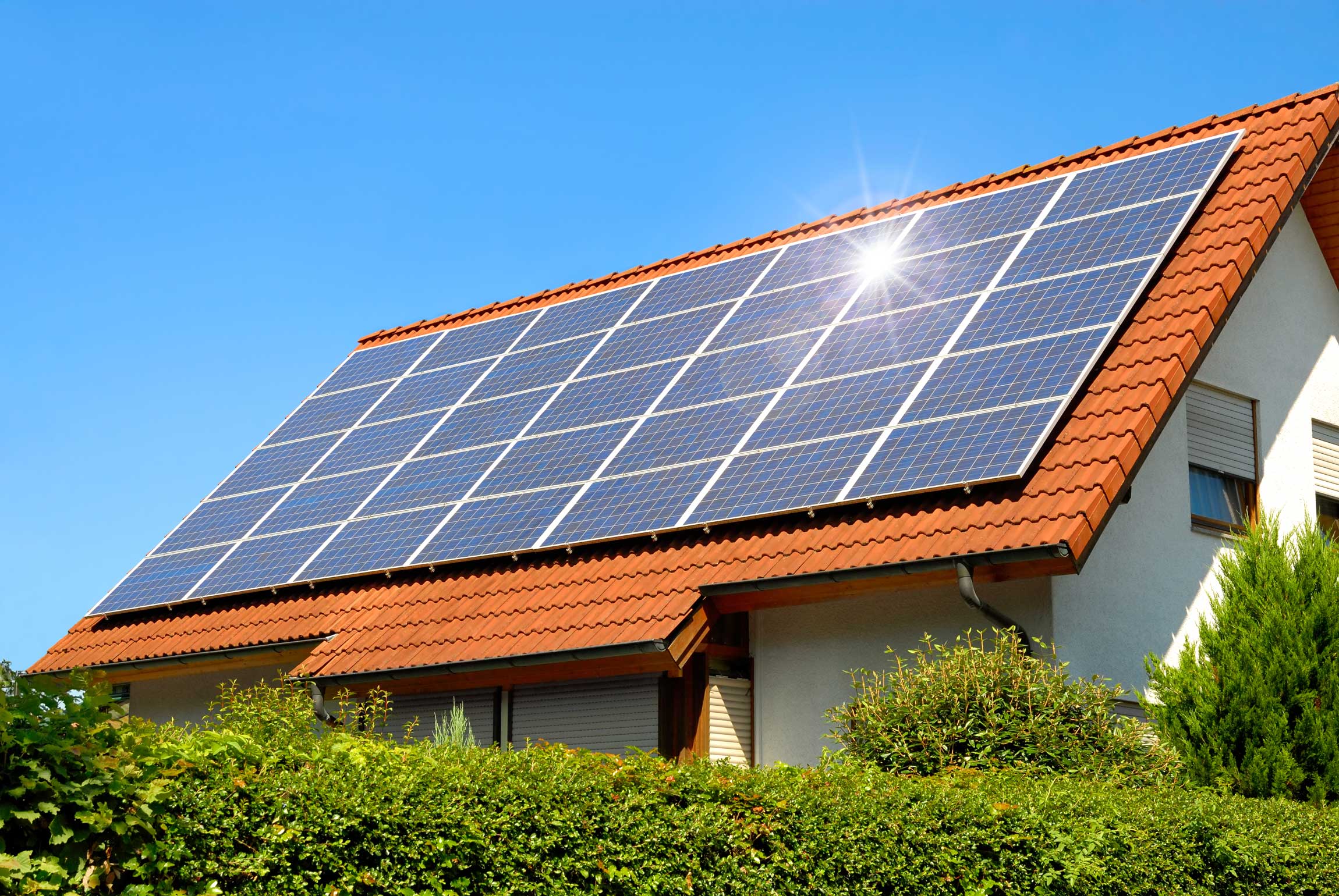 zenith solar jobs